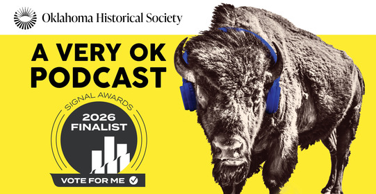 A bison wearing headphones and the logos for A Very OK Podcast and the Signal Awards "Vote for Me" swack.
