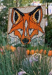 pumpkin display to look like a fox