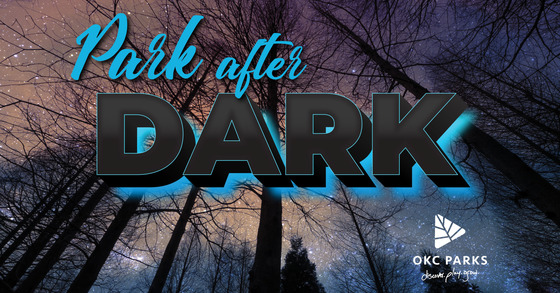 Park After Dark