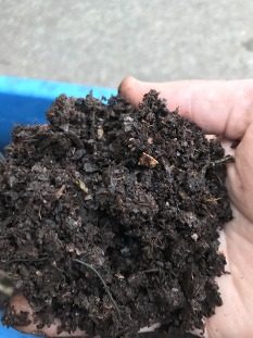 compost made from coffee grounds, food scraps
