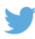 Twitter Large