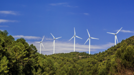 Thumbnail image of five windmills