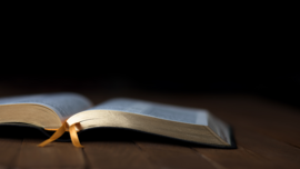Thumbnail image of a Bible