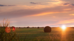 Thumbnail image of rural area of Oklahoma