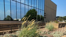 Allen Wright Memorial Library ext