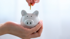Decorative thumbnail image: piggy bank