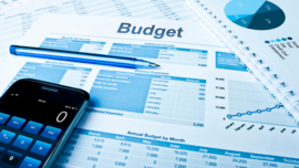 Decorative thumbnail image: budget papers