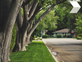 Neighborhood street