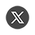 X Icon