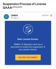 Scam email example screenshot