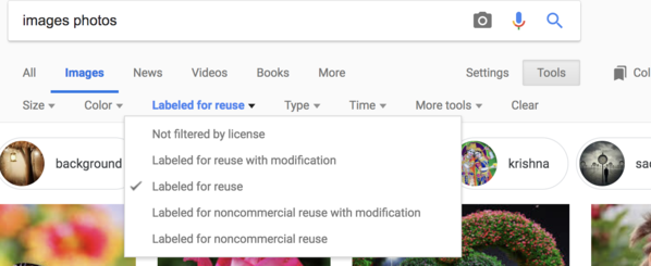 screen shot of image search