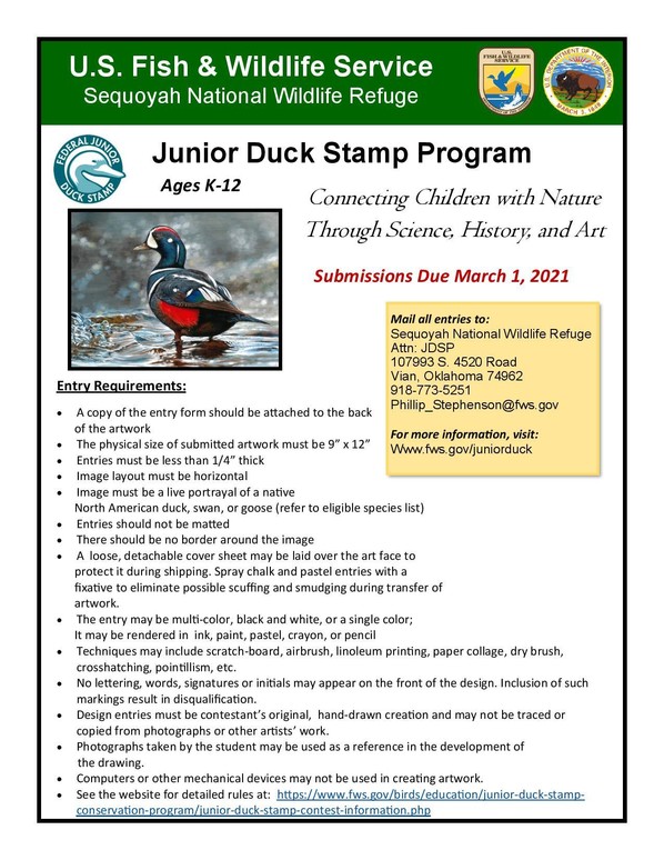 Duck Stamp Flyer