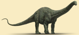 Apatosaurus