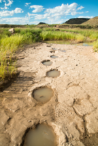 Dinosaur tracks in Black Mesa, Oklahoma.