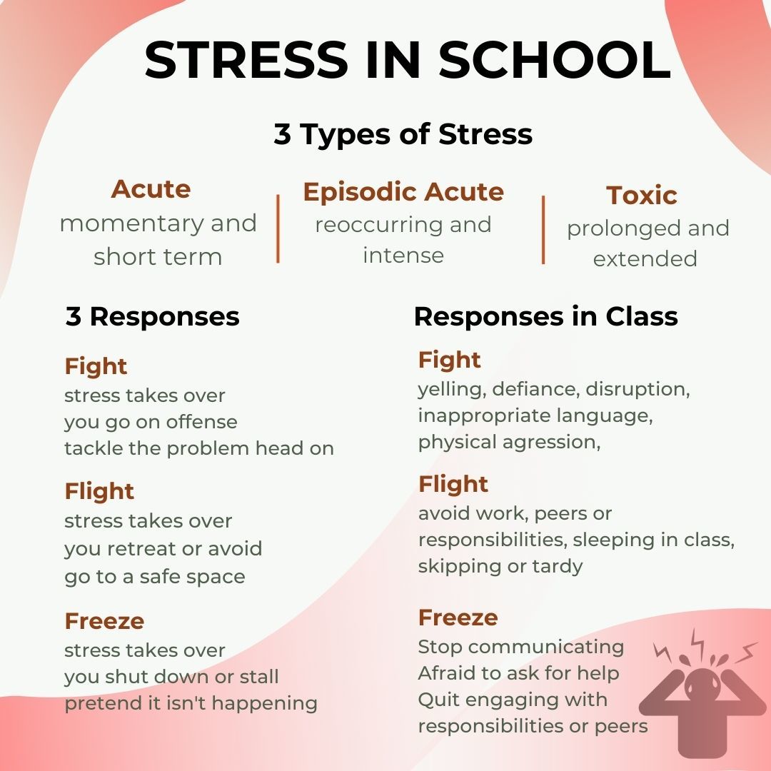 Stress in School