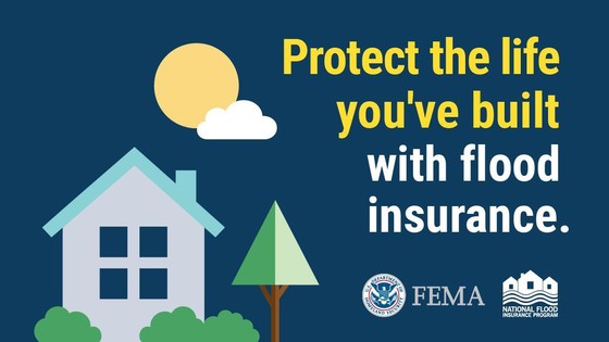 protect what you built