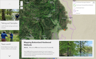 Mapping Bottomland Harwood Wetlands