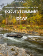 OCWP Executive Summary