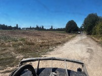 Mowing
