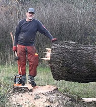 Marlin standing next to a large tree that was cut down at cascade locks