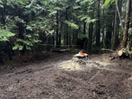 Removed obstruction at Siletz Bay 