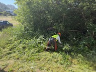 Pacific City Vehicle Access Road Cleanup