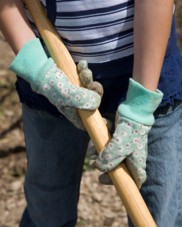 Yard work and gloves photo