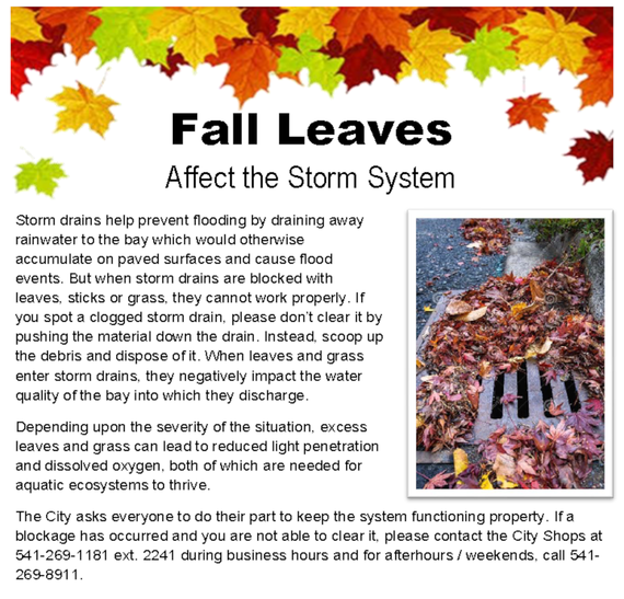 Fall Leaves and Storm Drains