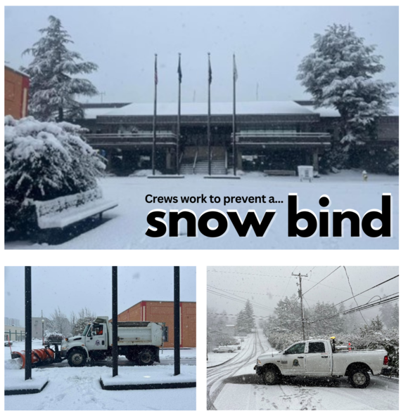 Snow Bind photos