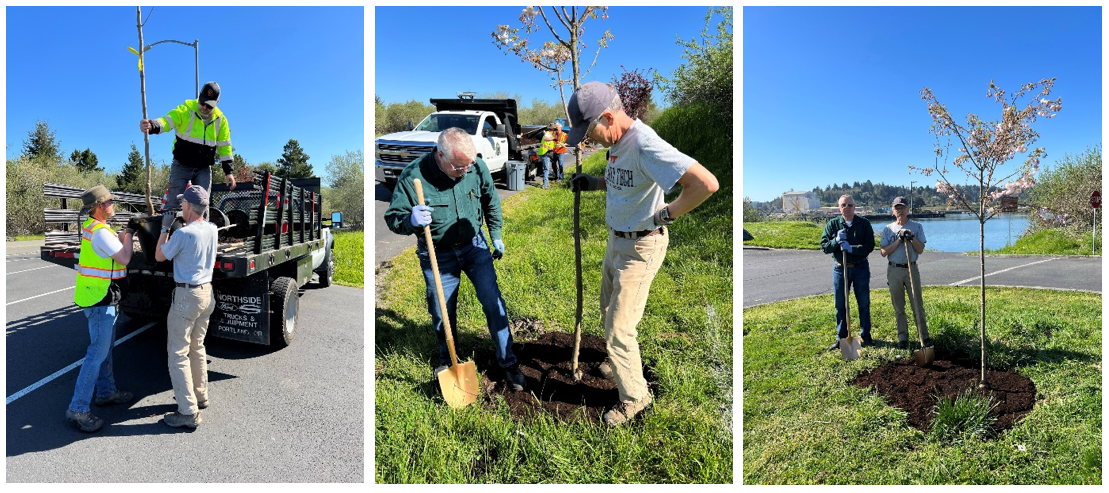 Arbor Day Event photos