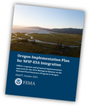 FEMA Draft Plan booklet view