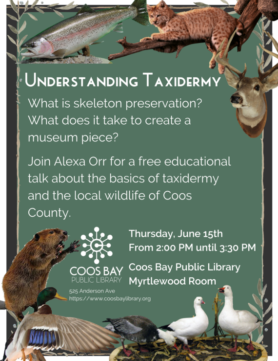 Understanding Taxidermy flyer