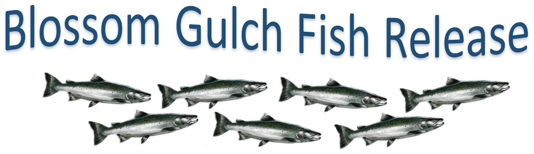 Blossom Gulch Fish Release Heading