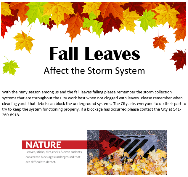 Fall Leaves and Storm Drains