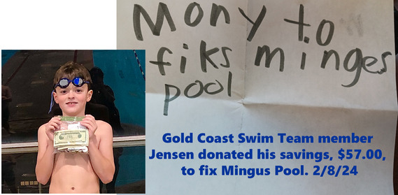 Jenson's pool donation