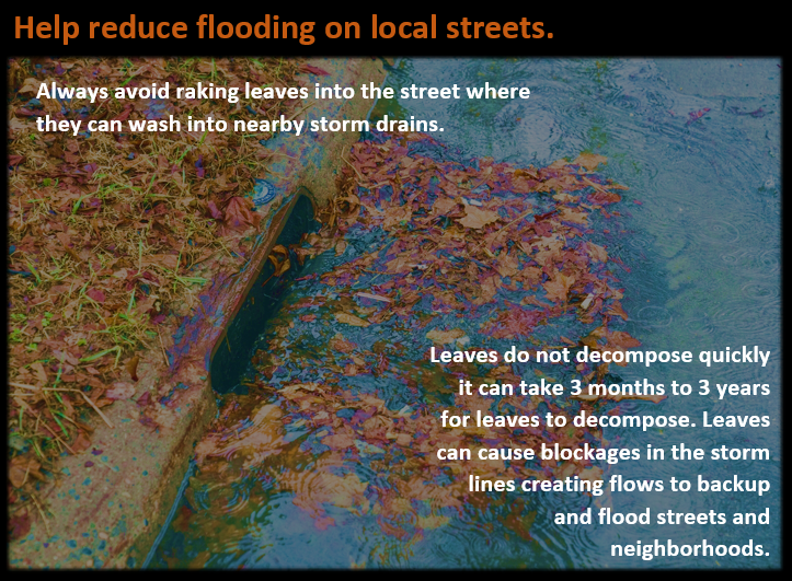 Help Reduce Flooding