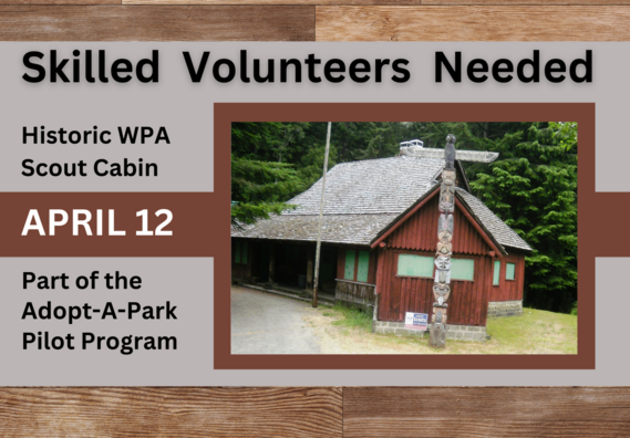 Skilled Volunteers Needed Heading