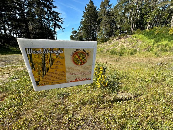 Scotch Broom sign