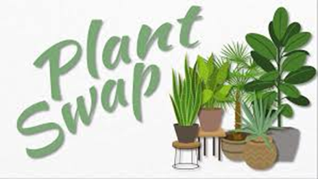 Plant Swap Graphic