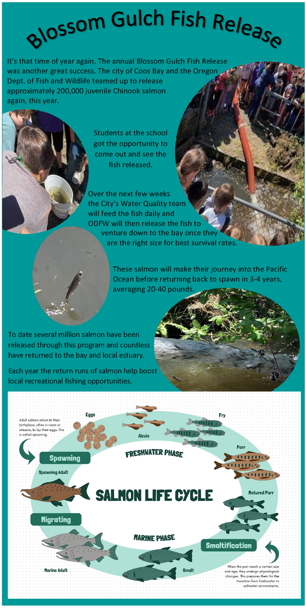 Blossom Gulch Fish Release