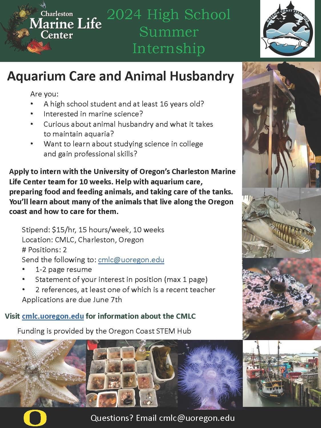 Charleston Marine Life Student Flyer