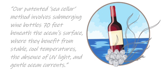 Sea Cellar Pull Quote