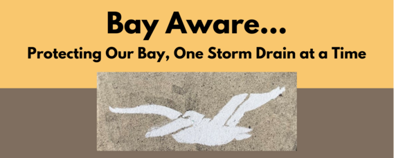 Bay Aware