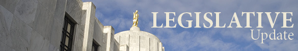 legislative banner