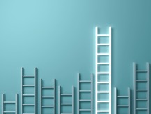 photo of ladders of different sizes