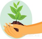 hand holding seedling