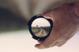 seeking