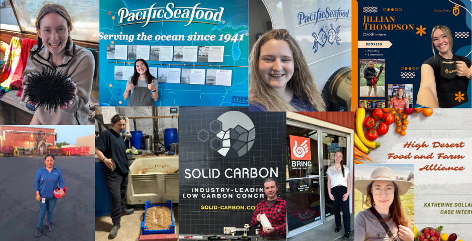 null OASE 2024 Intern Collage