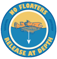 no floaters