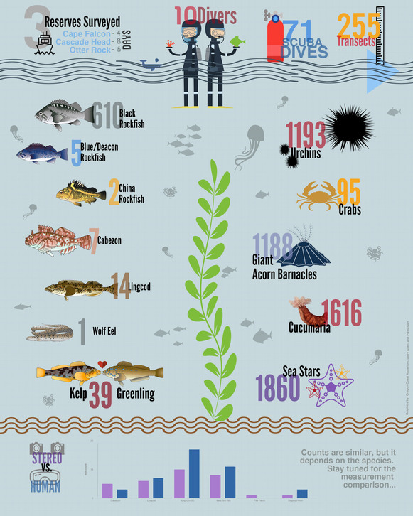 diver infographic